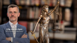 MFG Oberösterreich warnt vor fatalem Signal durch Diversion im Fall Luger